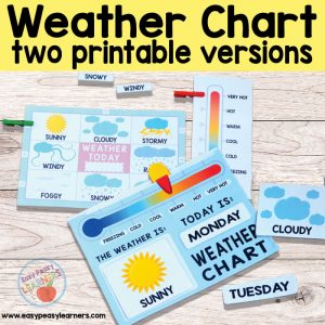 Printable Weather Charts - Weather Station