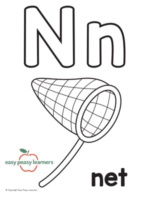 N is for Net